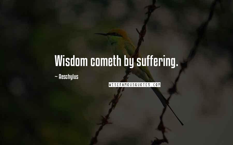 Aeschylus Quotes: Wisdom cometh by suffering.