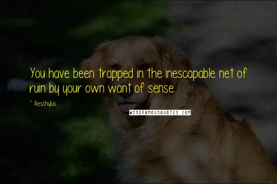 Aeschylus Quotes: You have been trapped in the inescapable net of ruin by your own want of sense.