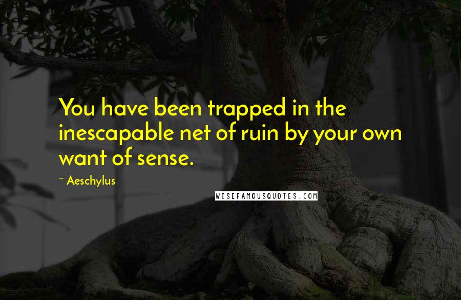 Aeschylus Quotes: You have been trapped in the inescapable net of ruin by your own want of sense.