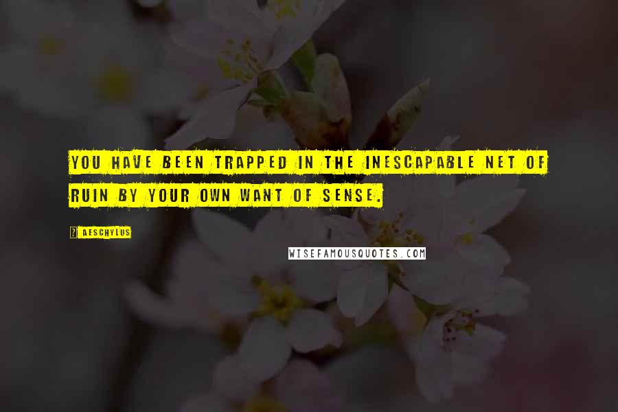 Aeschylus Quotes: You have been trapped in the inescapable net of ruin by your own want of sense.