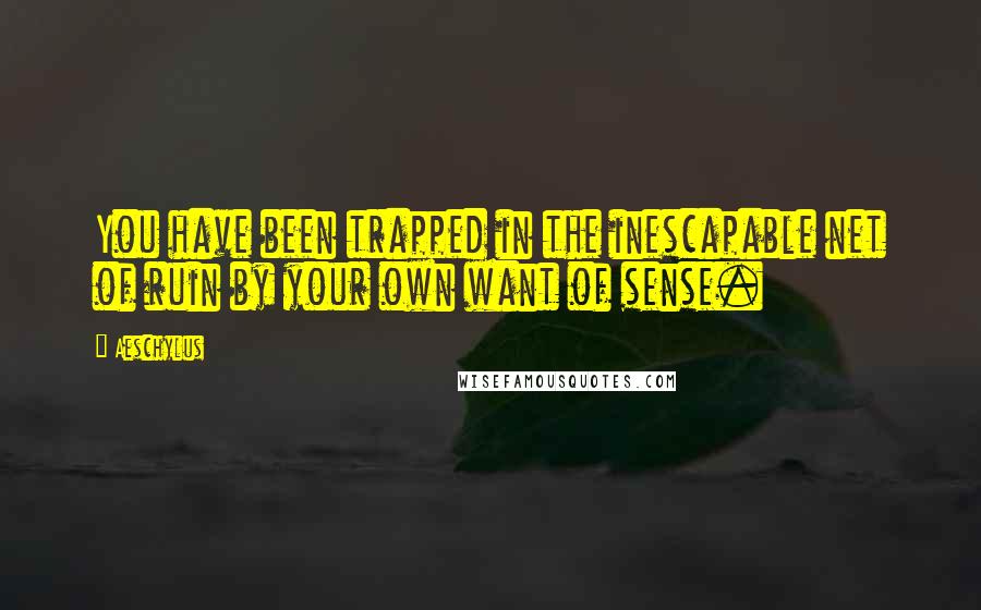 Aeschylus Quotes: You have been trapped in the inescapable net of ruin by your own want of sense.