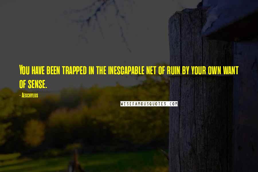Aeschylus Quotes: You have been trapped in the inescapable net of ruin by your own want of sense.