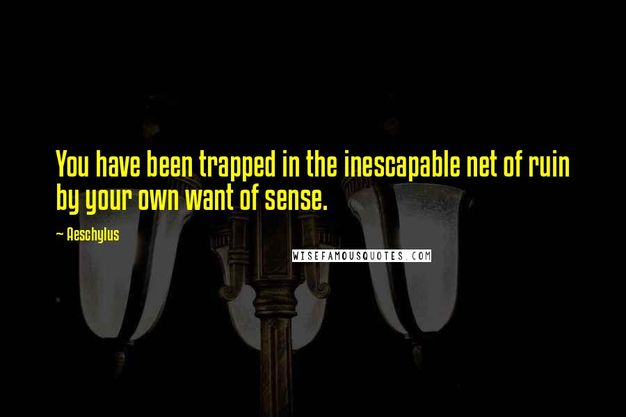Aeschylus Quotes: You have been trapped in the inescapable net of ruin by your own want of sense.