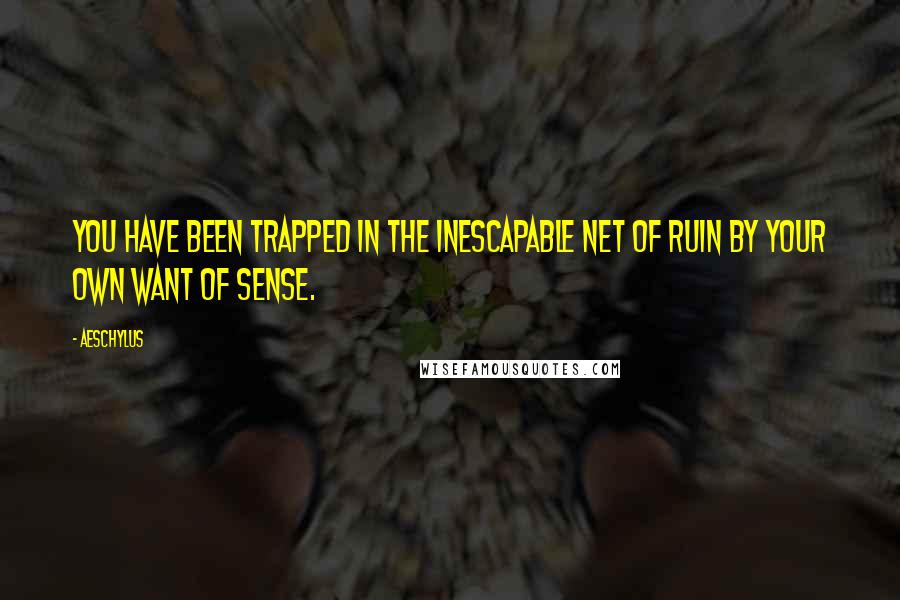 Aeschylus Quotes: You have been trapped in the inescapable net of ruin by your own want of sense.