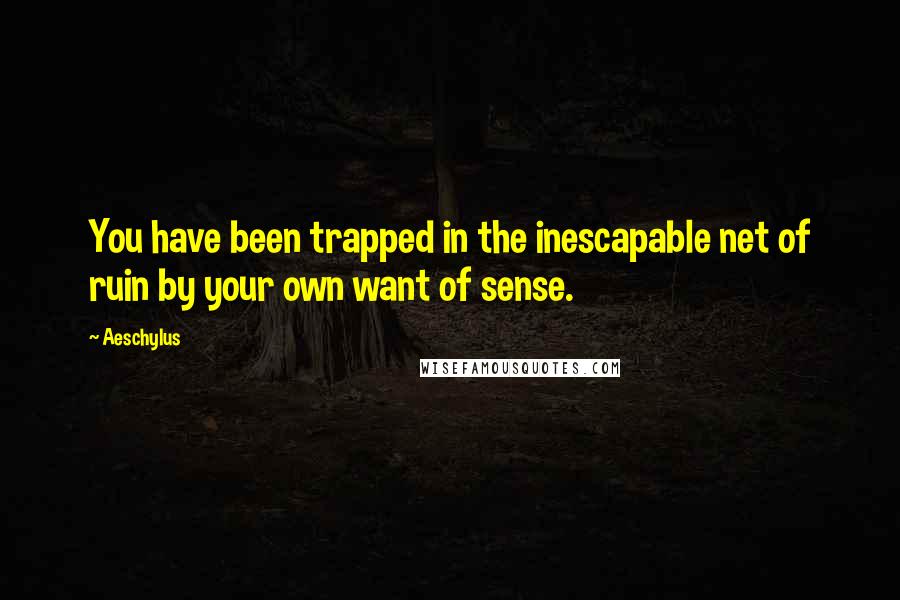 Aeschylus Quotes: You have been trapped in the inescapable net of ruin by your own want of sense.