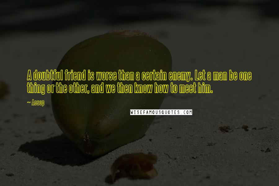 Aesop Quotes: A doubtful friend is worse than a certain enemy. Let a man be one thing or the other, and we then know how to meet him.