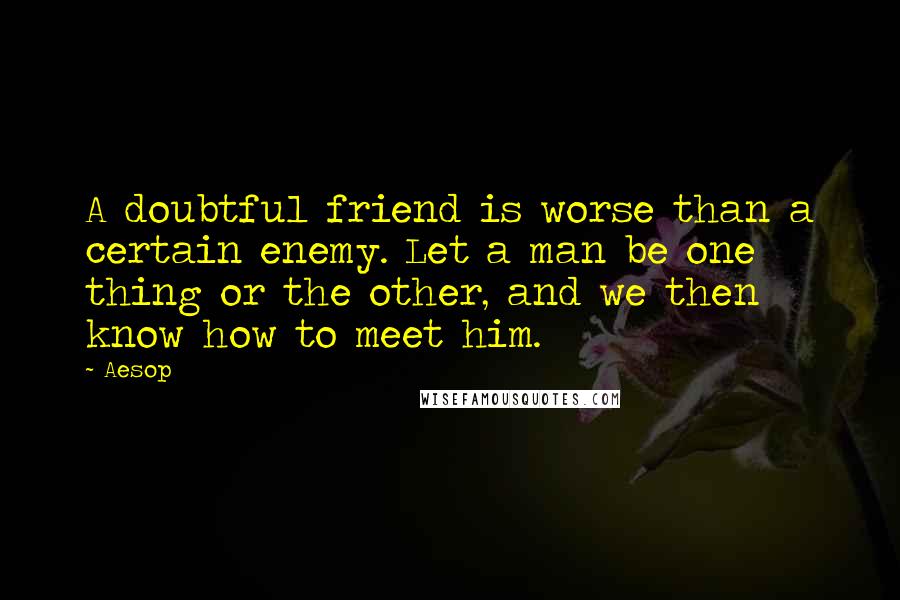 Aesop Quotes: A doubtful friend is worse than a certain enemy. Let a man be one thing or the other, and we then know how to meet him.