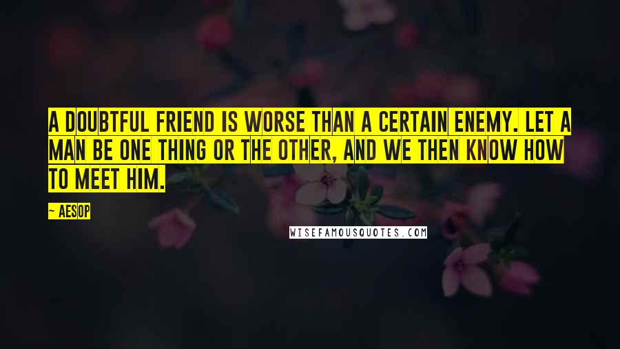 Aesop Quotes: A doubtful friend is worse than a certain enemy. Let a man be one thing or the other, and we then know how to meet him.