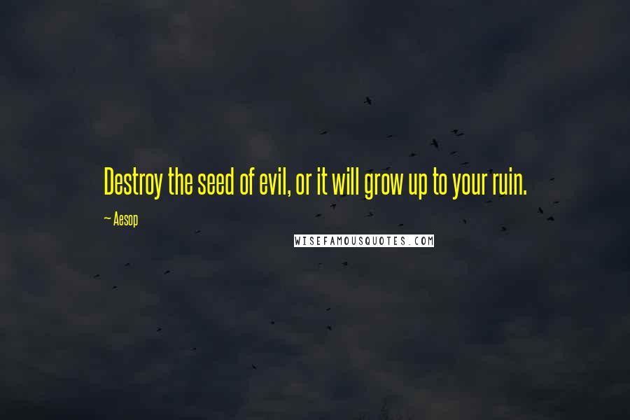 Aesop Quotes: Destroy the seed of evil, or it will grow up to your ruin.