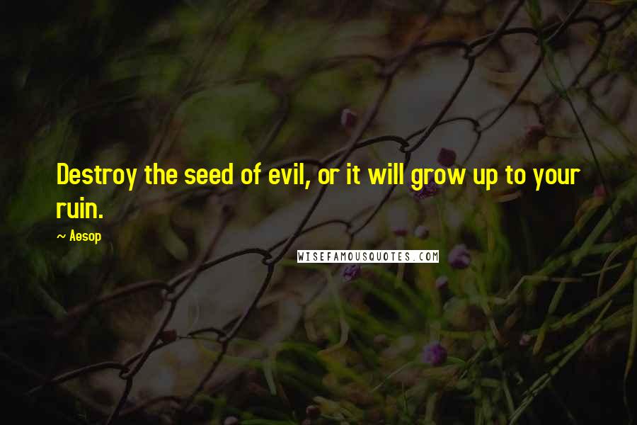 Aesop Quotes: Destroy the seed of evil, or it will grow up to your ruin.