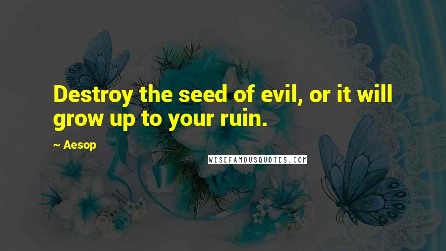 Aesop Quotes: Destroy the seed of evil, or it will grow up to your ruin.