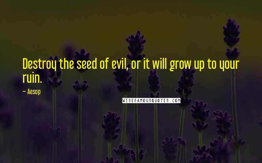 Aesop Quotes: Destroy the seed of evil, or it will grow up to your ruin.