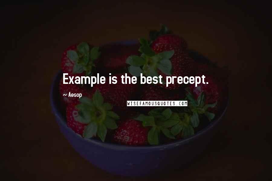 Aesop Quotes: Example is the best precept.