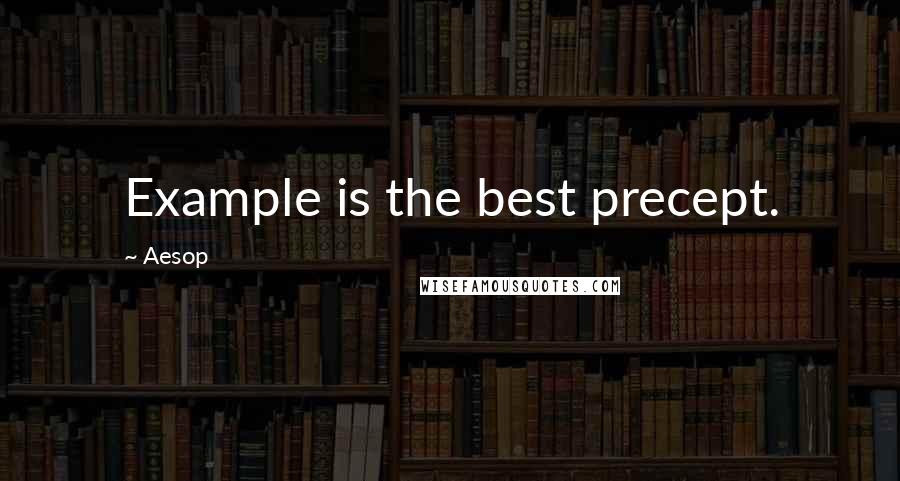 Aesop Quotes: Example is the best precept.