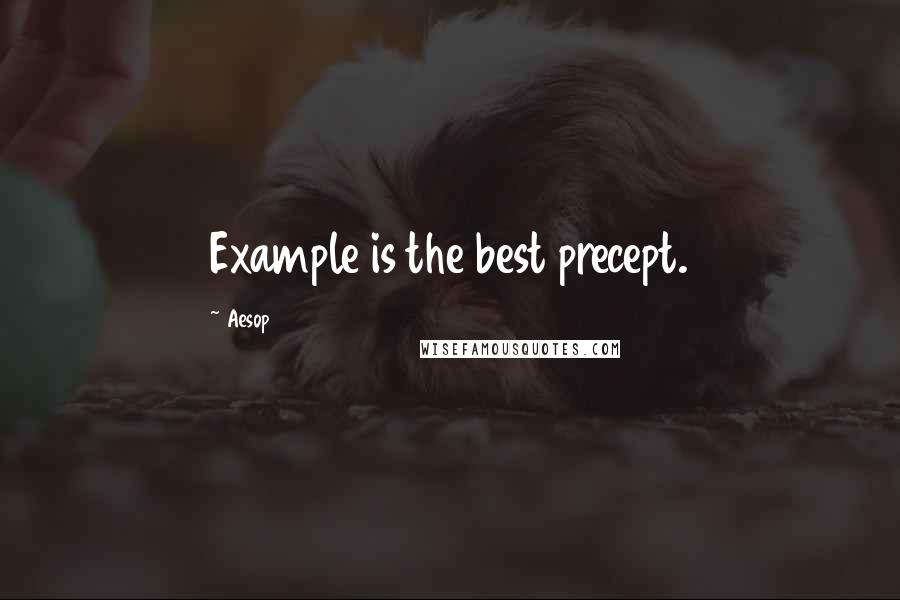 Aesop Quotes: Example is the best precept.