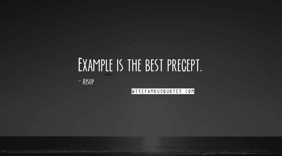 Aesop Quotes: Example is the best precept.