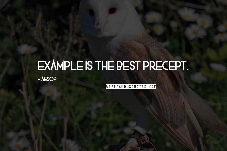 Aesop Quotes: Example is the best precept.