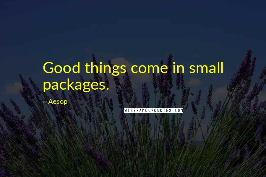 Aesop Quotes: Good things come in small packages.