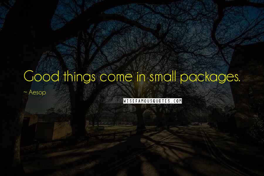 Aesop Quotes: Good things come in small packages.