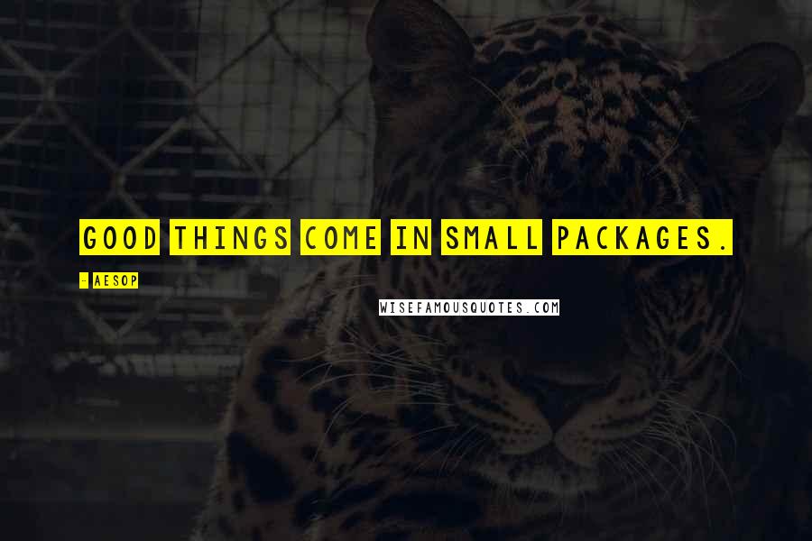 Aesop Quotes: Good things come in small packages.