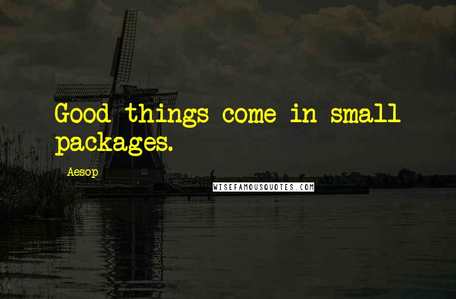 Aesop Quotes: Good things come in small packages.