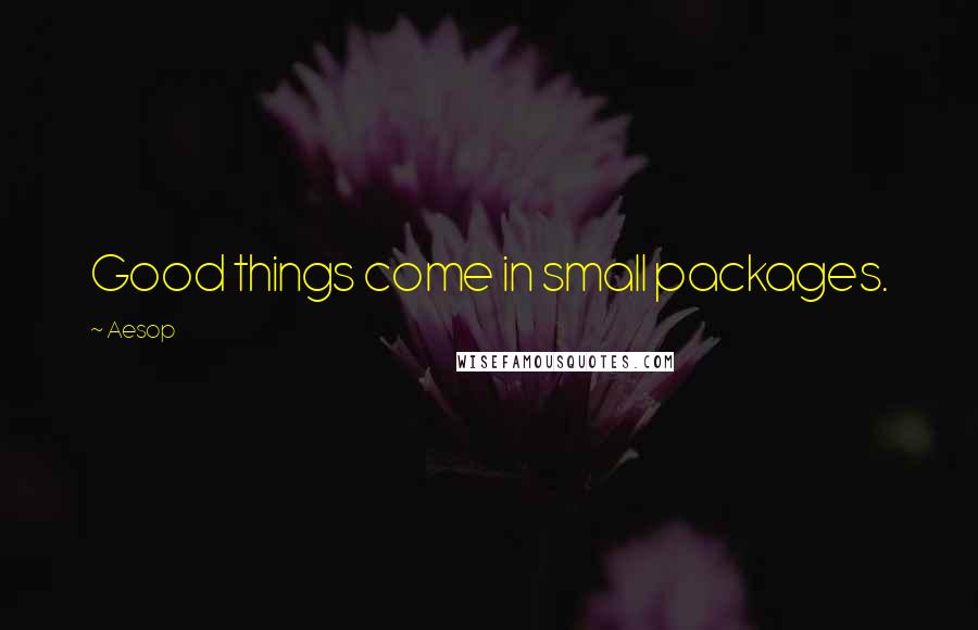 Aesop Quotes: Good things come in small packages.