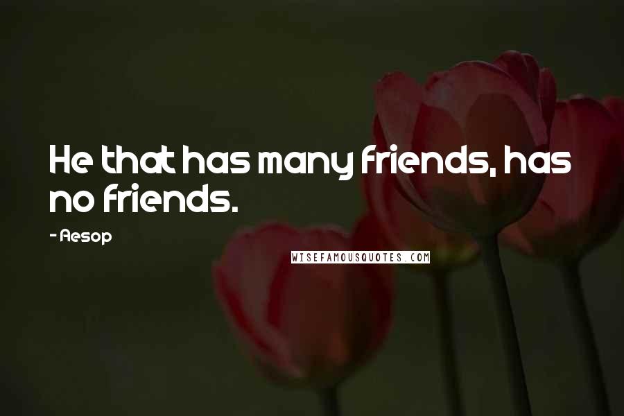 Aesop Quotes: He that has many friends, has no friends.
