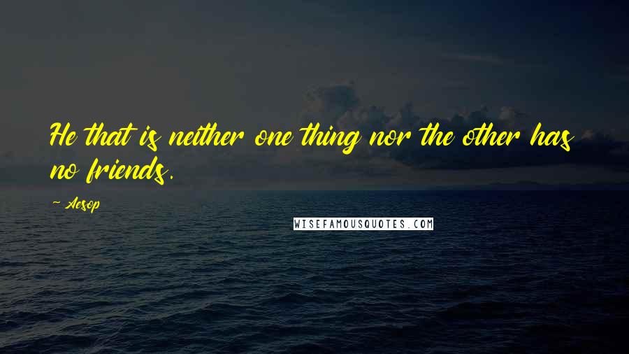 Aesop Quotes: He that is neither one thing nor the other has no friends.