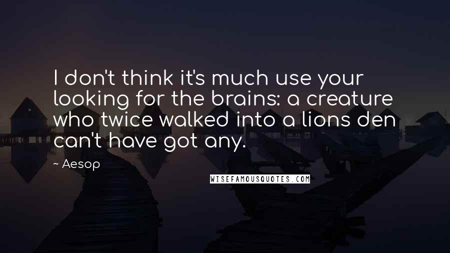 Aesop Quotes: I don't think it's much use your looking for the brains: a creature who twice walked into a lions den can't have got any.