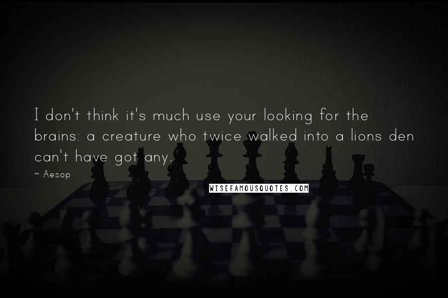 Aesop Quotes: I don't think it's much use your looking for the brains: a creature who twice walked into a lions den can't have got any.