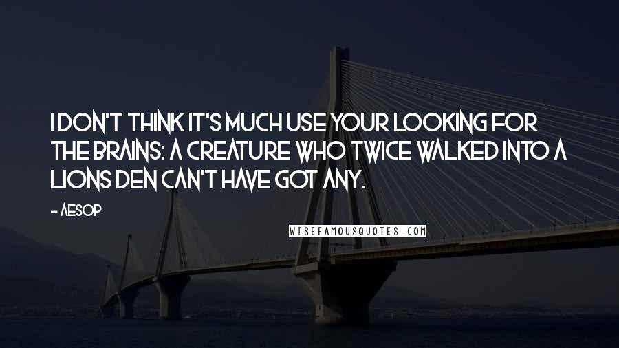 Aesop Quotes: I don't think it's much use your looking for the brains: a creature who twice walked into a lions den can't have got any.