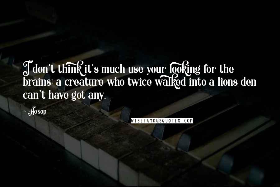 Aesop Quotes: I don't think it's much use your looking for the brains: a creature who twice walked into a lions den can't have got any.