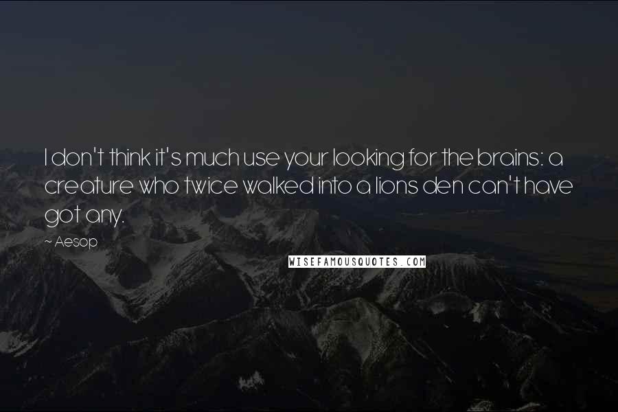 Aesop Quotes: I don't think it's much use your looking for the brains: a creature who twice walked into a lions den can't have got any.