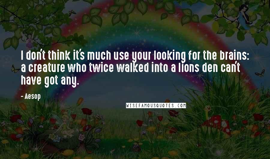 Aesop Quotes: I don't think it's much use your looking for the brains: a creature who twice walked into a lions den can't have got any.