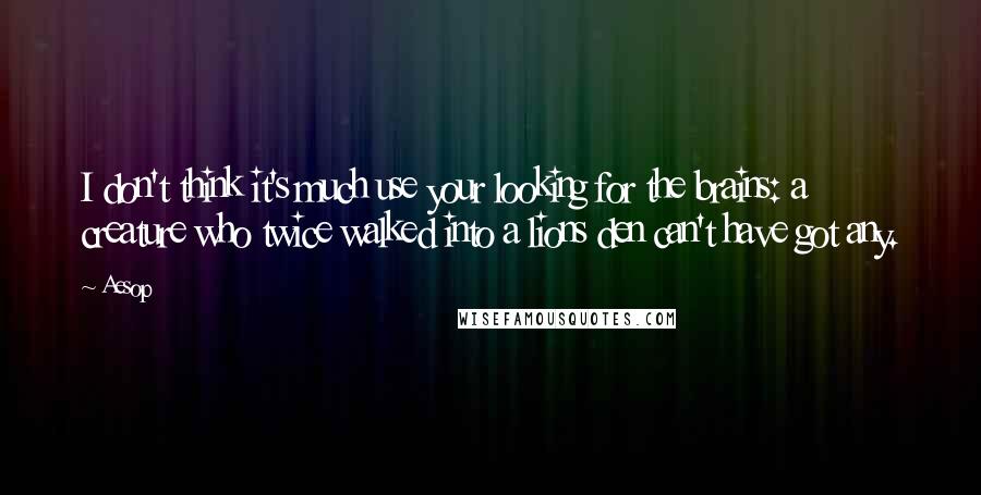 Aesop Quotes: I don't think it's much use your looking for the brains: a creature who twice walked into a lions den can't have got any.