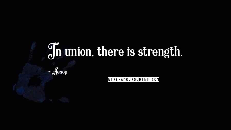 Aesop Quotes: In union, there is strength.