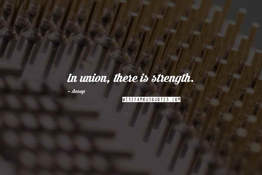 Aesop Quotes: In union, there is strength.