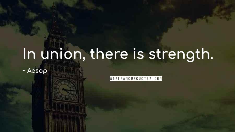 Aesop Quotes: In union, there is strength.