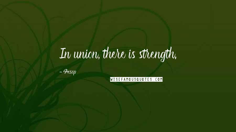 Aesop Quotes: In union, there is strength.