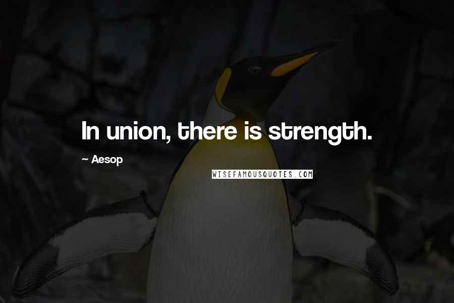 Aesop Quotes: In union, there is strength.