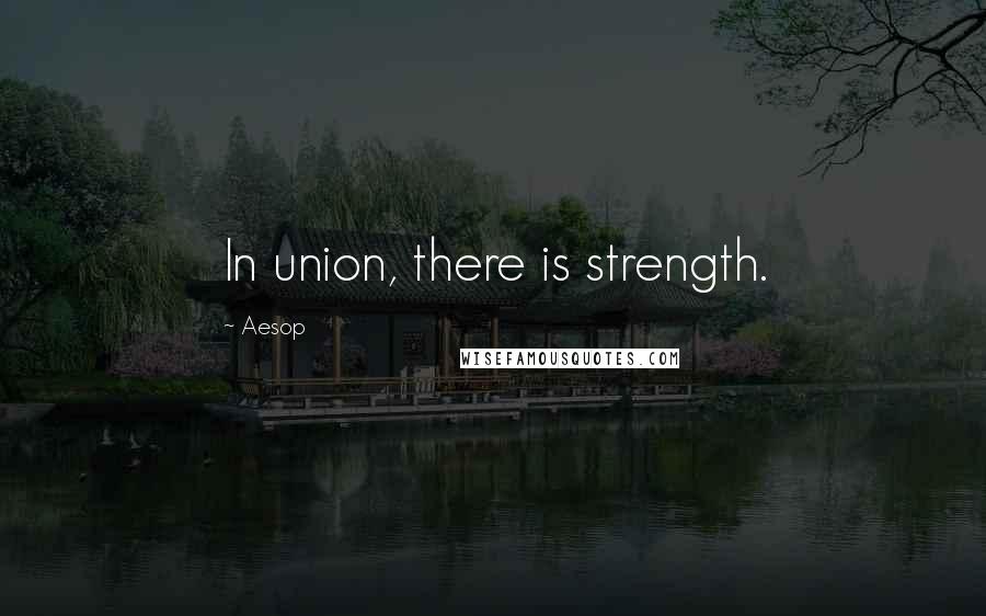 Aesop Quotes: In union, there is strength.