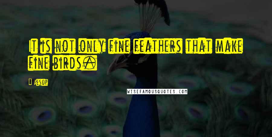 Aesop Quotes: It is not only fine feathers that make fine birds.