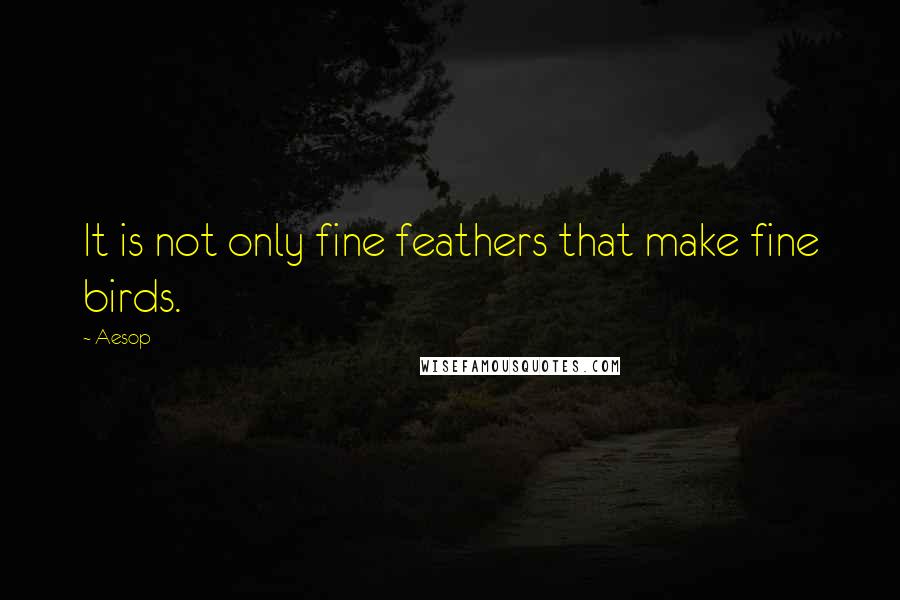 Aesop Quotes: It is not only fine feathers that make fine birds.