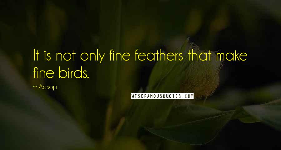 Aesop Quotes: It is not only fine feathers that make fine birds.