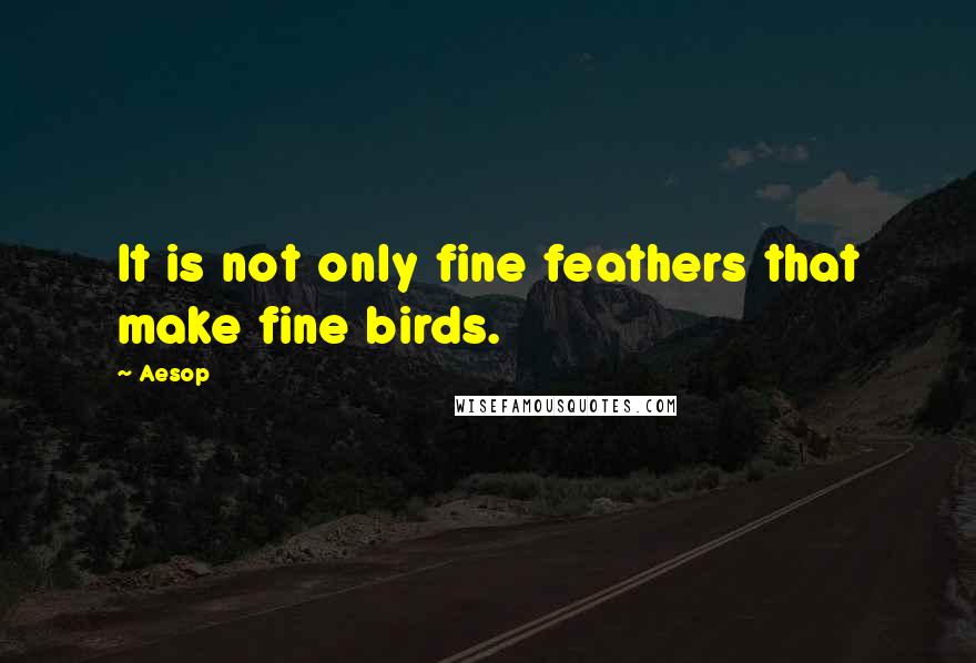 Aesop Quotes: It is not only fine feathers that make fine birds.