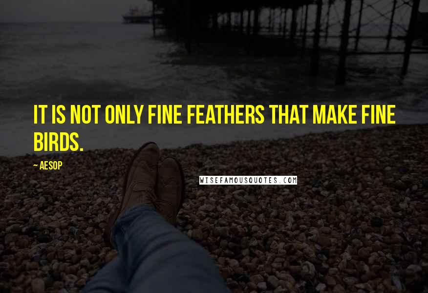 Aesop Quotes: It is not only fine feathers that make fine birds.