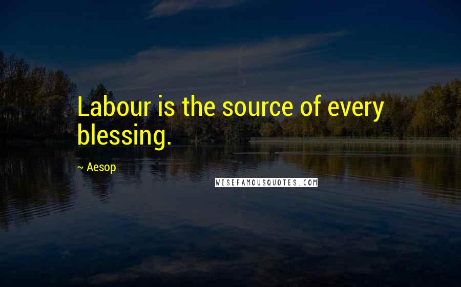 Aesop Quotes: Labour is the source of every blessing.