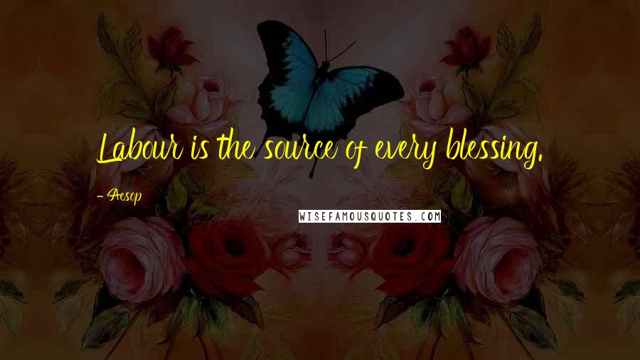 Aesop Quotes: Labour is the source of every blessing.