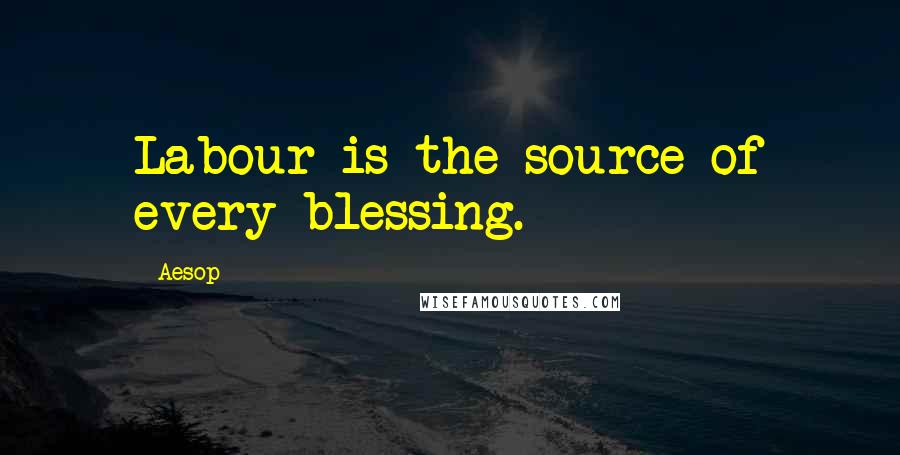 Aesop Quotes: Labour is the source of every blessing.