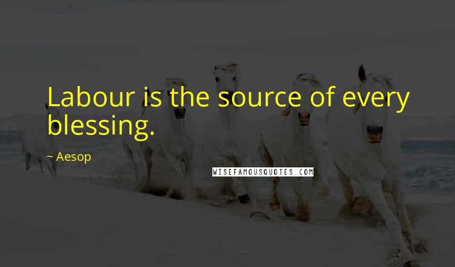 Aesop Quotes: Labour is the source of every blessing.